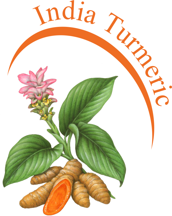 TURAMINT® Turmeric in a Case of 10 boxes.  Total = 100 lozenges.  Free Shipping!
